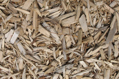 biomass boilers Dennistoun